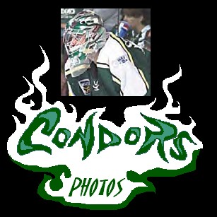 condors.jpg